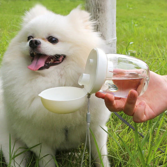 Foldable & Portable Pet Water Bottle for Cats & Dogs